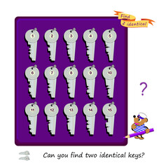 Can you find two identical keys? Game Seek and Find. Logic puzzle for children and adults. Page for kids brain teaser book. Task for attentiveness. IQ test. Hand drawn flat vector illustration.