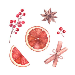 Watercolor set of a dried orange slices (whole and half), star anise, red berries and cinnamon sticks. Isolated elements on a white background. For Christmas designs, invitations, holiday crafts.