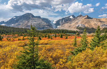 Autumn colors with view of the Stutfield Glacier at the Columbia Icefield on the Icefields Parkway 