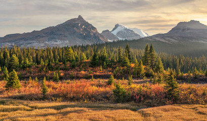 Autumn Sunset at the Sunwapta Pass on the Icefields Parkway - Banff National Park	