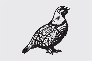 bird line art vector design