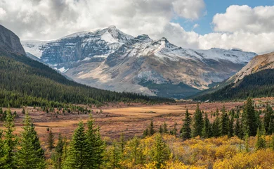 Gordijnen Gletsjer Autumn colors at the Sunwapta Pass on the Icefields Parkway - Banff National Park - view towards the Columbia Icefield glaciers  © Craig Zerbe