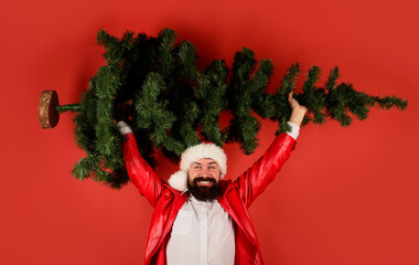 Santa with Christmas tree. Bearded man in red leather coat with Christmas tree. Smiling businessman...