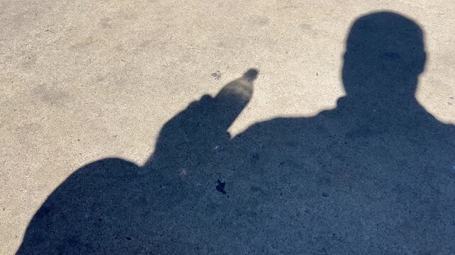 Man in shadow drinking a soda water in silhouette