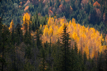 autumn in the mountains
