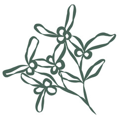 Mistletoe Branch. Line Art Illustration.