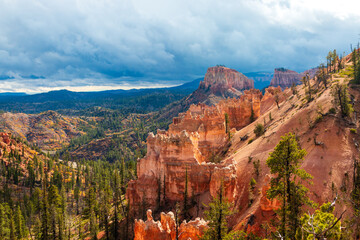 Naklejka premium Bryce Canyon National Park 