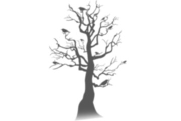 Natural bare tree shadow overlay on transparent background realistic mockup spooky branch silhouette effect sunshine autumn outdoor forest park wood element