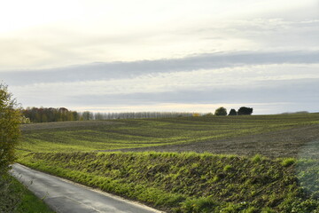 Fototapeta premium Nuages en couches en fin de journée sur un paysage rural à Écaussinnes-Lalaing (Soignies)