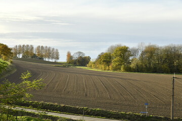 Fototapeta premium Champ fraichement labouré en automne en fin de journée à Écaussinnes d'Enghien (Soignies)
