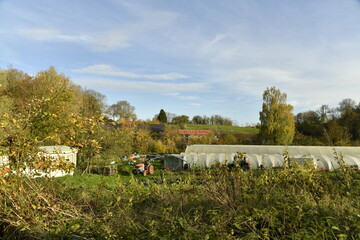 L'une de cultures sous plastique en automne &agrave; &Eacute;caussinnes-Lalaing (Soignies)