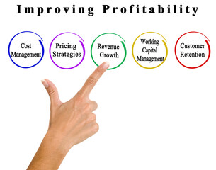 Five Ways for Improving Profitability