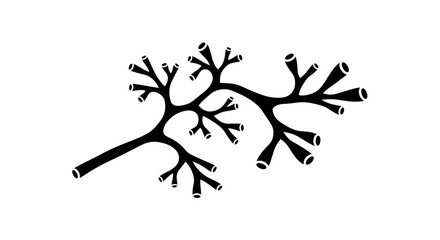 Stylized Black and White Plant Illustration with Open Ends.