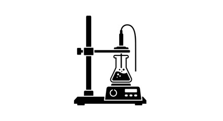 Laboratory setup with flask and stirrer for scientific experiments.