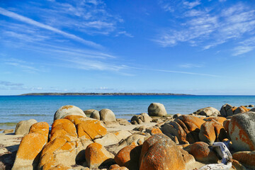 Lichen-covered granite boulders, a calm sea and in the distance the flat Waterhouse Island. Coast  of Waterhouse Conservation Area, northeast Tasmania, Australia

