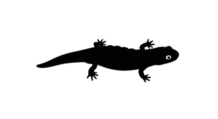 Fototapeta premium Black silhouette of a salamander with a white eye on a white background.