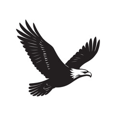 Obraz premium black eagle in flight