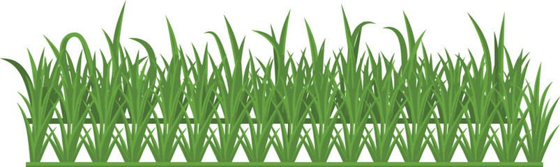 Stylized grass blade illustration, green lawn texture, nature element, garden clipart, landscaping design, foliage art, isolated plant graphic, outdoor vegetation