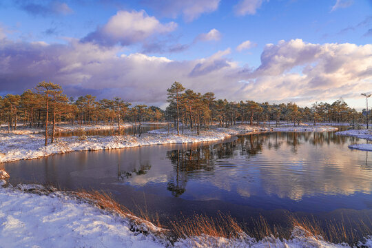 A serene winter landscape with a small lake reflecting the clouds and sky