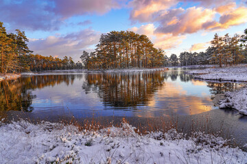 wonderful winter landscape with reflection in the water