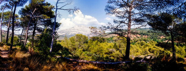 Fototapety na wymiar - Fototapeta24.pl