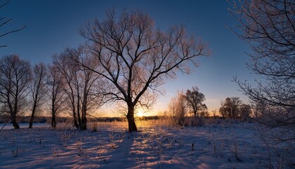 Winter solstice over natural landscape with fresh powder snow and trees