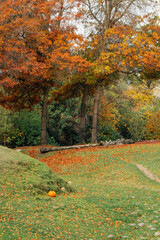 autumn in the Woodland Park Zoo in Seattle, Washington