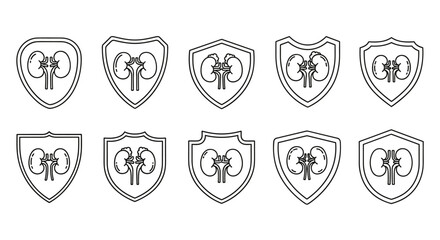 Set of ten different outline shield icons, each containing a stylized kidney symbol, representing healthcare, medical services, and organ protection. Ideal for graphic design, web applications