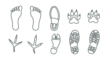Collection of thin line footprint icons, including human feet, animal paw prints, bird tracks, and various shoe soles, presented as outline signs for graphic and web design, apps, adverts, and