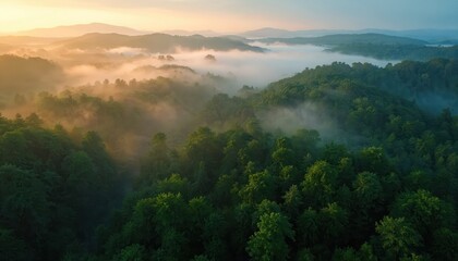 Aerial photo of a foggy forest at sunrise. Sun illuminates treetops and distant mountains in a serene landscape. Misty woods create tranquil atmosphere. Nature scene during dawn.