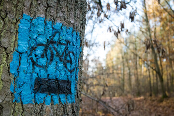 Sign on a tree designating a bike path, autumn.
