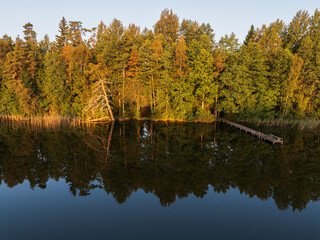 Aerial drone view of a calm Estonian lake reflecting a beautiful autumn forest with a small wooden jetty at sunset.