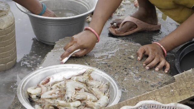 Handling Seafood with Efficiency - A Glimpse into an Indian Fish Market