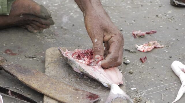 Hand deftly removes bones from fish flesh