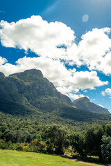 Naklejka premium a photo of Table Mountain from the Biodiversity Park Cape Town 
