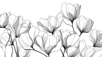 linear flowers against a white backdrop