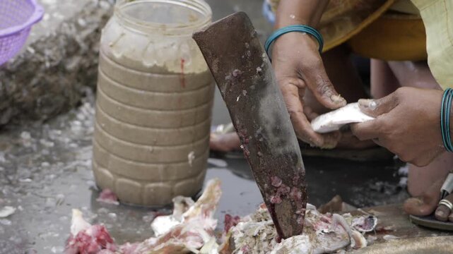 Unveiling the Art of Fish Chopping - A Culinary Journey in Progress