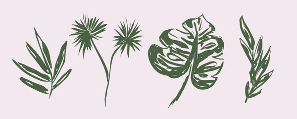 Tropic set of grunge textured vector green ink hand dawn tropical leaves, fern, monstera leaf. Sketch paintbrush botanical elements for textile pattern design, greeting card, logo