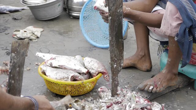Fresh Fish Market - A Feast for the Senses