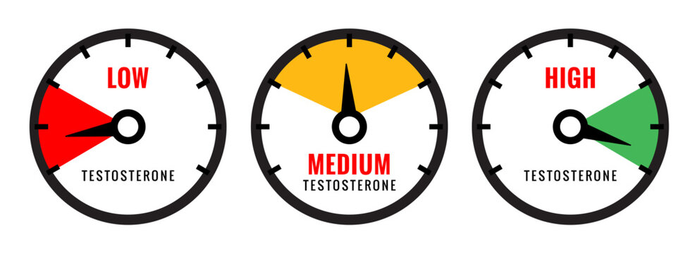 Testosterone low level health meter icon. Testosterone therapy hormone level libido infographic