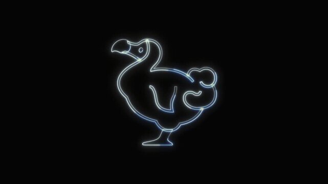 Dodo Animal Icon Neon Seamless Loop 4K with Black Background Animated Promotional Typography for Video Editing