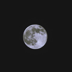 Close-up black and white photograph of the full moon against a dark night sky, showing detailed craters and surface texture.