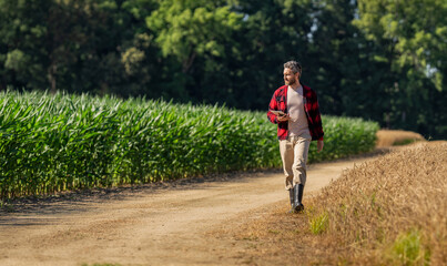 Farmer man working on field with tablet. Hispanic farmer with tablet check harvest. Crop harvest....