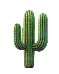 Triple-Armed Saguaro Cactus with Vertical Stripes Isolated on White Background