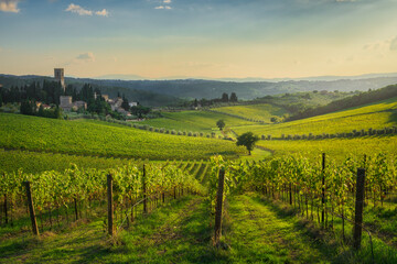 Fototapeta premium Chianti Vineyards and Badia a Passignano Abbey in Autumn, Tuscany, Italy