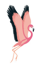 Flamyngo