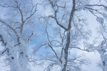 冬のオロフレ峠