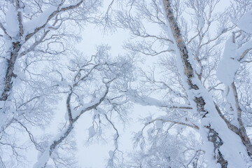 冬のオロフレ峠