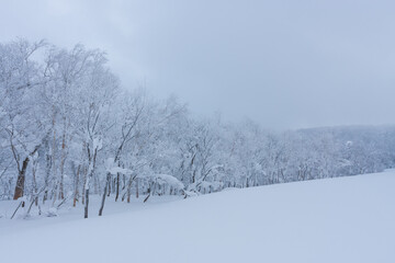 冬のオロフレ峠