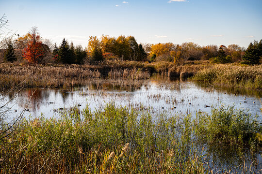 View of McLaughlin Bay Wildlife Reserve in Oshawa.
